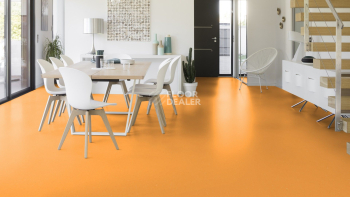 Colorette 0171 Sunrise Orange фото 2 | FLOORDEALER